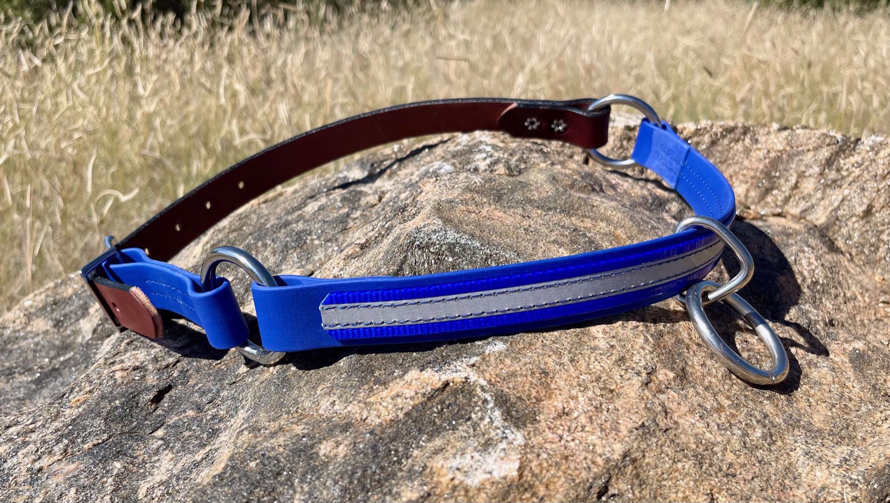 Moss Rock EnduranceHorse Neck Collar with Leather Breakaway Strap