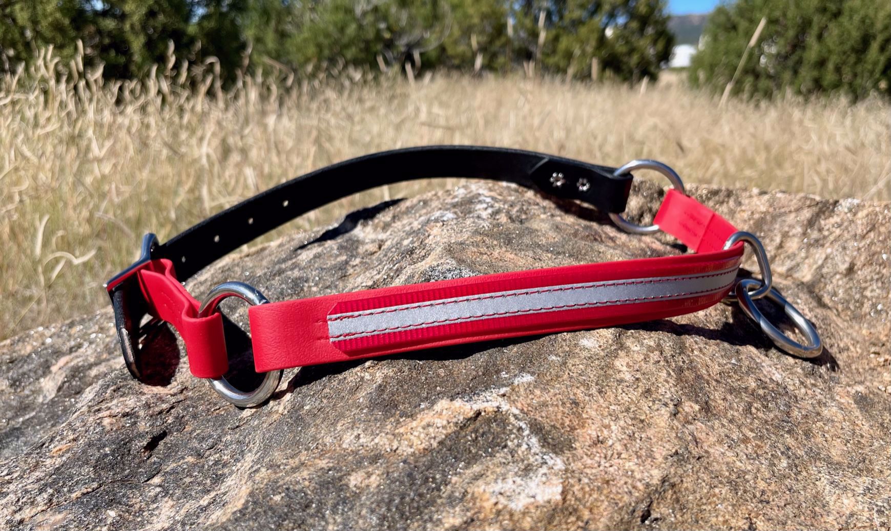 Moss Rock EnduranceHorse Neck Collar with Leather Breakaway Strap