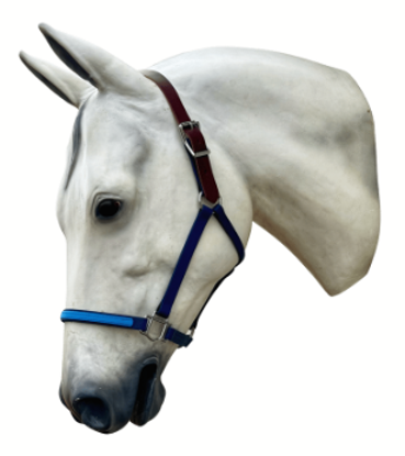 Picture of Double Buckle Halter w/ Breakaway Leather Poll Strap