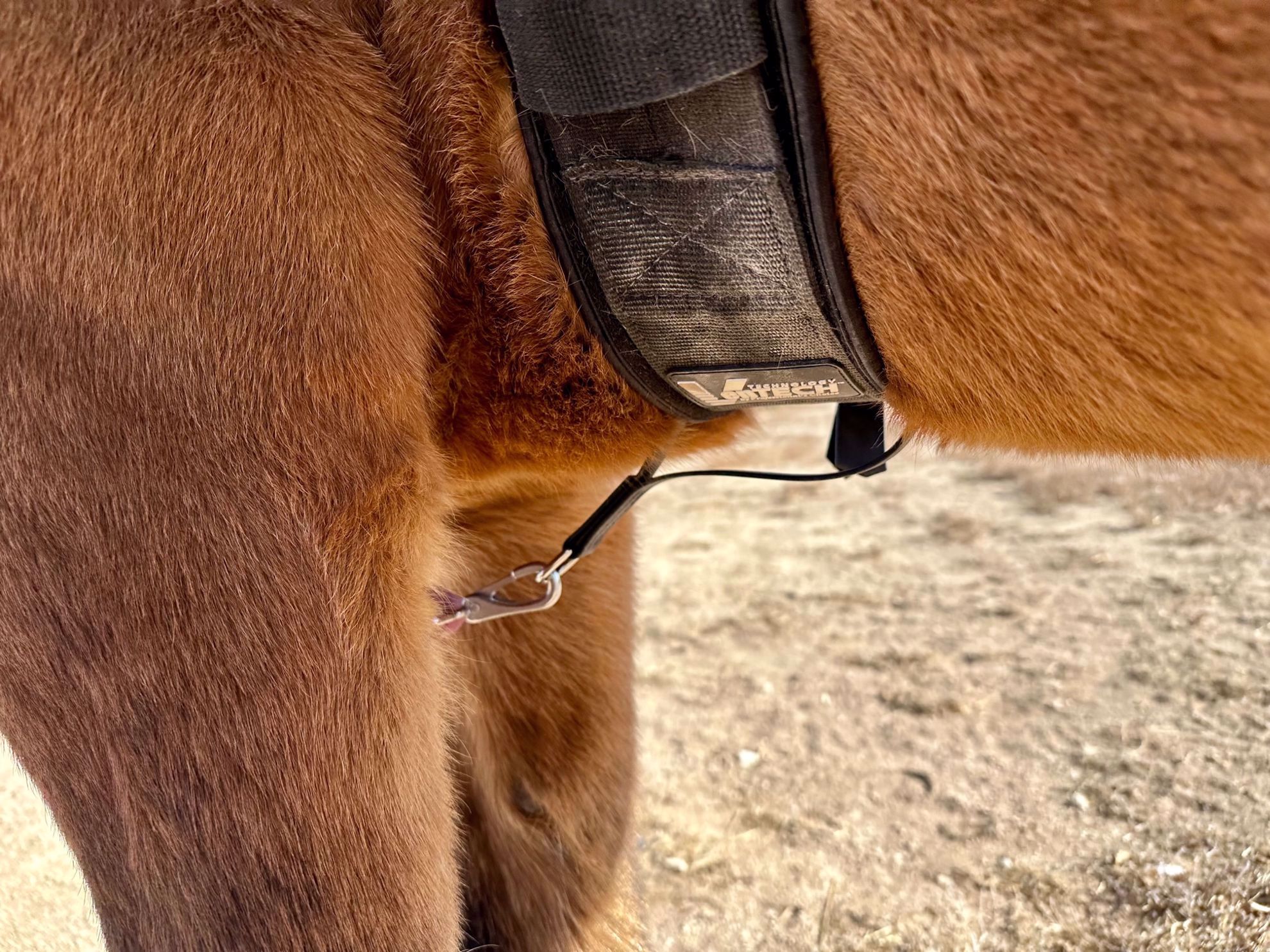 Moss Rock EnduranceGirth Loop