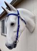 Picture of Trail Bridle