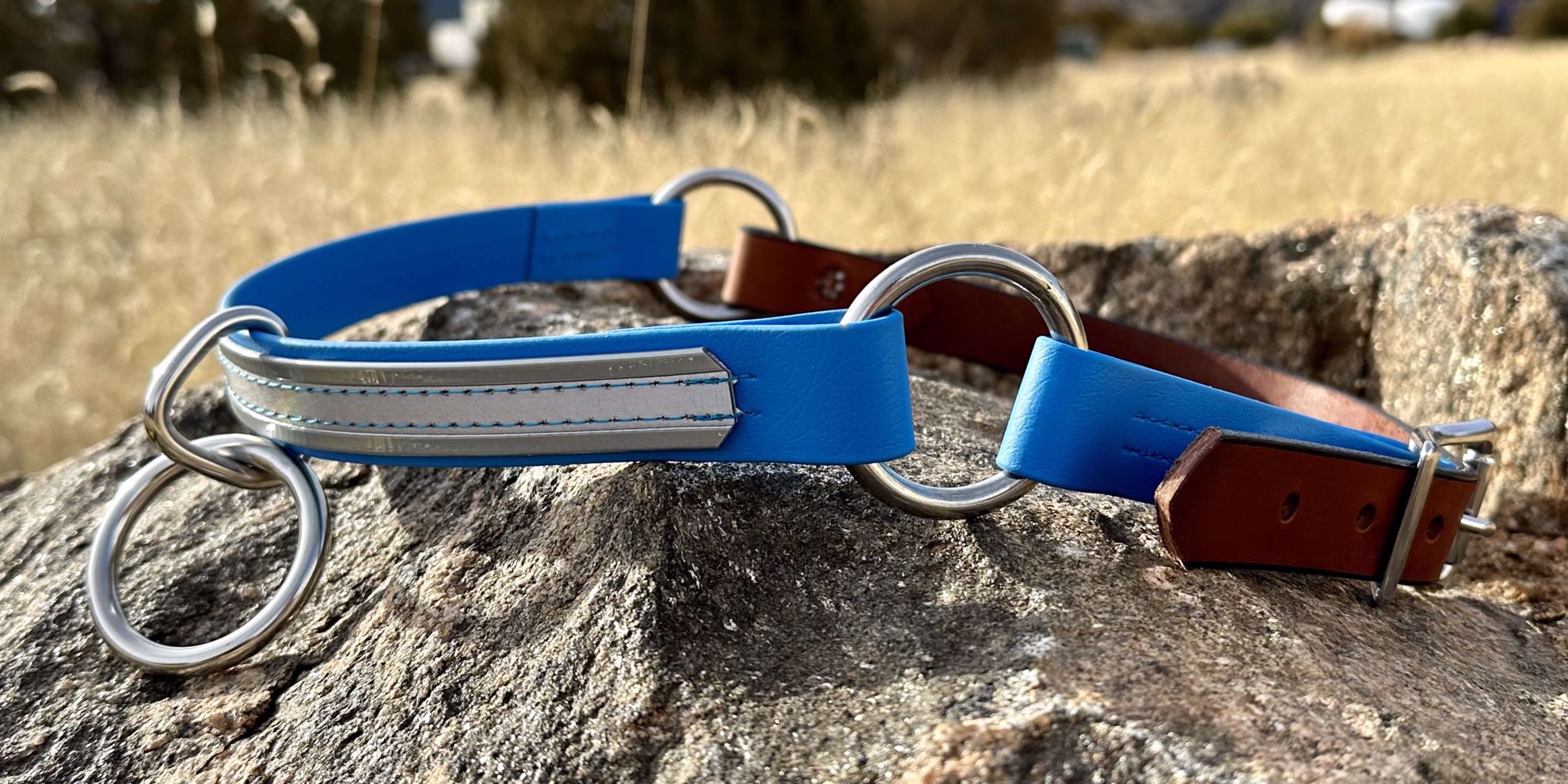 Moss Rock EnduranceHorse Neck Collar with Leather Breakaway Strap