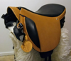 Picture of Quilty