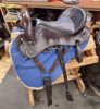 Picture of Evolutionary "The Minimalist" Saddle Model