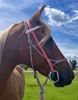 Picture of Bridle Converter Lite