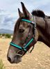 Picture of Halter Bridle Convertible Lite