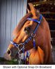 Picture of No Brow Hackamore Lite
