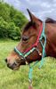 Picture of No Brow Hackamore Lite (conway cheeks)