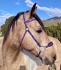 Picture of Hackamore Lite (conway cheeks)