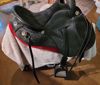 Picture of International Specialized Saddle, SOLD!
