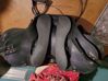 Picture of International Specialized Saddle, SOLD!