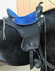 Picture of TW Saddlery Trail Light