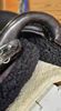 Picture of Evolutionary "The Officer" Model Saddle, PRICE REDUCED!