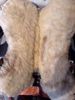 Picture of Stonewall Endurance Saddle, NEW LISTING!