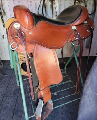 Picture of Cashel by Martin Endurance Saddle
