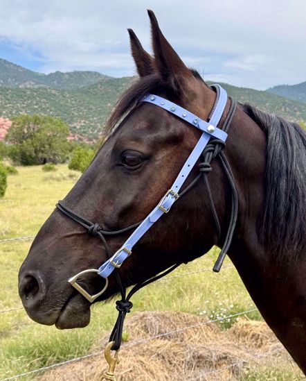 Picture of Bridle Converter Deluxe - ON SALE