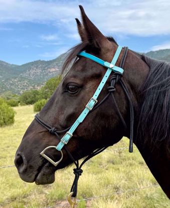 Picture of Bridle Converter Deluxe - ON SALE