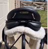 Picture of Arabian Saddle Company Rubicon Monoflap, NEW LISTING!