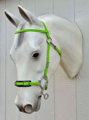Picture of Hackamore UltraLite - READY TO SHIP