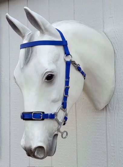 Picture of Hackamore Lite, Arab Size, Color: Royal Blue - READY TO SHIP