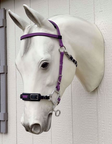 Picture of Hackamore Lite, Arab Size, Color: Black & Grape - READY TO SHIP