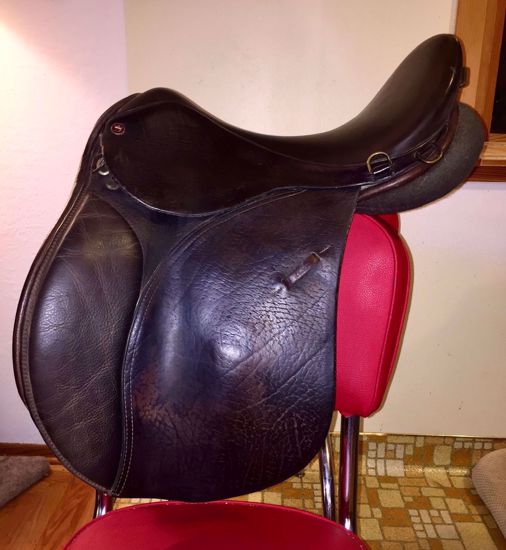 Picture of Arabian Saddle Company Solstice, NEW LISTING!