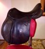 Picture of Arabian Saddle Company Solstice, SOLD!