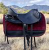 Picture of Ghost Treeless Saddle: Quevis, Complete Saddle Package!