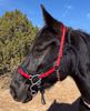 Picture of No Brow Hackamore Deluxe (angled cheeks with buckles)