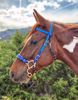 Picture of Hackamore Deluxe (straight cheeks with buckles)