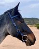 Picture of Trail Bridle (angled cheeks)