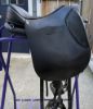 Picture of Ghost Treeless Saddle: Torino, NEW LISTING!