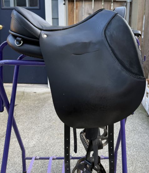 Picture of Ghost Treeless Saddle: Torino, NEW LISTING!