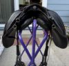 Picture of Ghost Treeless Saddle: Torino, NEW LISTING!